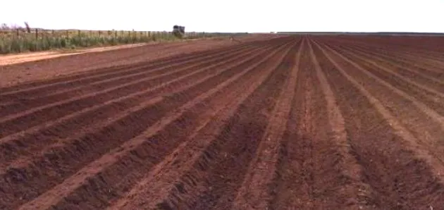 Australia Watanabe stone crusher psw-3200 application